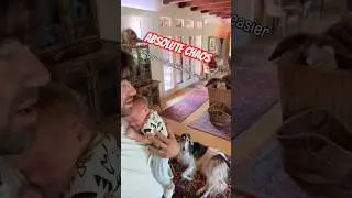 Anytime the new skin puppy cries Sabin now has to cry #borzoi #doglife #newborn #howl #dadlife