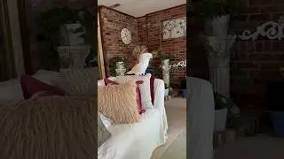 It&rsquo;s Sun time to #worship & give thanks to #god  😇 #parrot #shortsfeed #viral #reels #shortsvideo