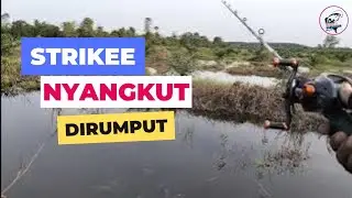 STRIKE MANTAP, UMPAN NANCAP DIDALAM
