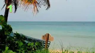 Short Teaser [Live Action, Promos, Video Editing]