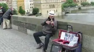Street musician - Viola, Prague,Charles Bridge,2015