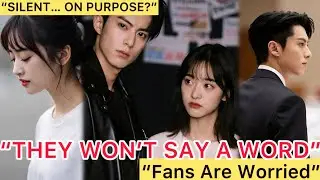 &rdquo;Dylan Wang and Shen Yue Remain Silent About The Rumors