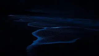 Ocean Waves Gently Crashing at Midnight | 3 Hours of Blissful Sleep Sounds