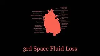 Heart Rate Response to Fluid loss