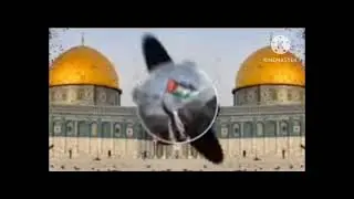 Trending viral noha ☝️⚔️💚⚔️☝️high quality high views in the world of india.......⚔️☝️💚⚔️💚⚔️☝️
