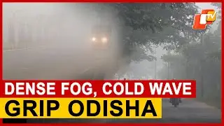 Dense Fog Blankets Odisha, Traffic Disrupted In Bhubaneswar, Cuttack As Cold Wave Continues