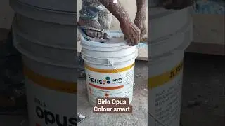 Birla Opus Style Colour Smart Interior Emulsion Unboxing | Premium Wall Finish #birlaopus @birlaopus