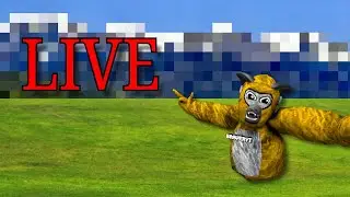 Groilla Tag Stream (Road to 4K)