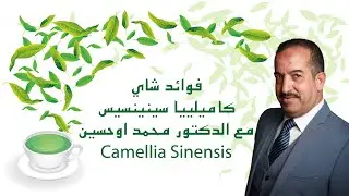 برنامج أش خبار الصحة مع البروفيسور محمد أوحسين