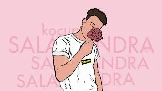 Kocur - Salamandra