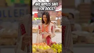 Can dogs eat apples? How to safely add apples to your dog&rsquo;s diet #doghealth #homemadedogfood