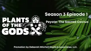 Plants of the Gods S3E1 | Peyote: The Sacred Cactus