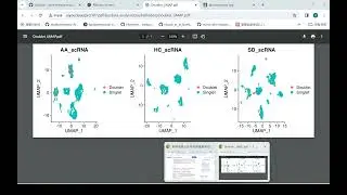 Single-cell analysis of Doublets detection and removal of RNA contamination: DoubletFinder, decontX
