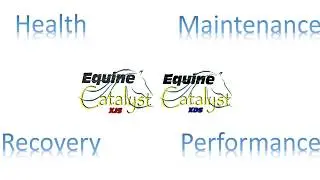 Fastest Time Wins Advertisement Equine Catalyst With Vegas Voice Over by Seth Roy