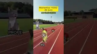 momentos +1000 de aura (meme de gatos)