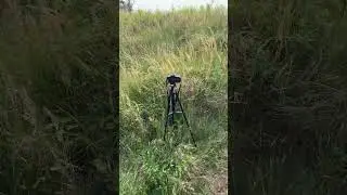 My camera ZV-E10 📷 in the dunes Renesse☀️Zeeland, Netherlands #nature #sea #meditation
