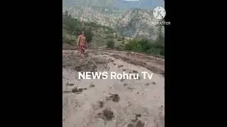 Himachal Culture and Traditional Farming of Red rice, how to raise red rice crop #redrice #shortz