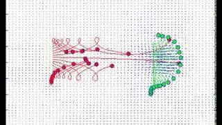 ME106 Project 1 - Vortex Ring Visualization