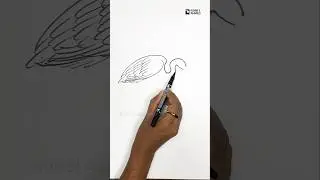 Learn Easy Heron/Egret Bird Drawing Techniques!