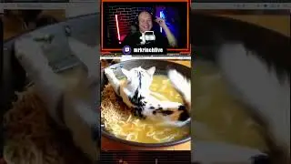 twitch.tv/mrkrinchlive #реакция #нейросеть #коты #mrkrinch