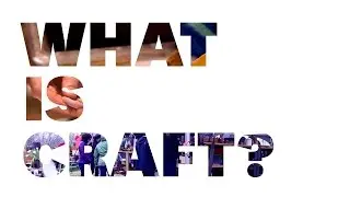 What is Craft?