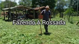 Rosados o Quintal como Ficou