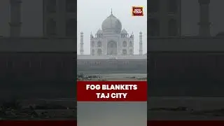 Uttar Pradesh: Dense Fog Envelops Agra, Taj Mahal Area Shrouded in Low Visibility