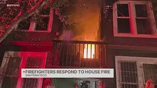 Cat rescued, several residents displaced in SF Mission District fire