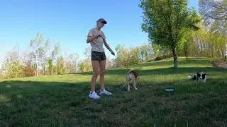 Behavioral Down Demonstration