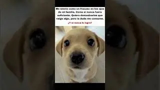 #real #core #dogcore #core