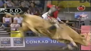 BRA Paulo Crimber vs Bodacious - 07 PBR World Cup (90 pts)