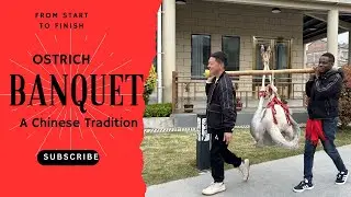 We Ate an Entire Ostrich in China |  Rare Food  Experience | Traditional Feast From Start to Finish