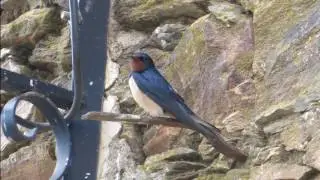 MONFRAGÜE, febrero 2017