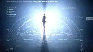 Fraktal Tribe - Mental Rebirth