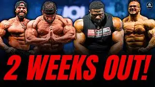 ARNOLD CLASSIC 2026 OPEN & CLASSIC | 2 WEEKS OUT PHYSIQUE UPDATE❗
