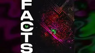 Avid Beats - Facts