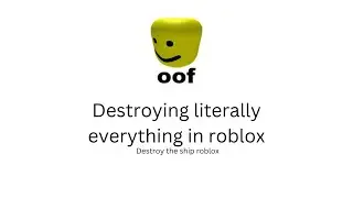 The Destruction Experience