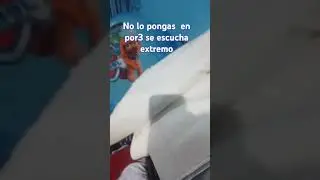 De verdad cuac cuac