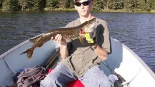 Minnesota Fishing Trip 2010 Mantrap Lake, Park Rapids, Muskie Pike Walley Bass