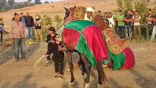 فرسان جندوبة *فرنانة* 4