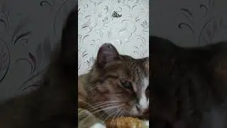 для дуэта
