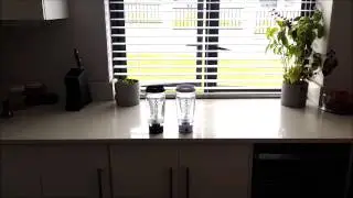 Promixx Vortex Mixer - 2 bottles