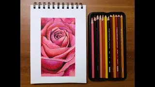 PINK ROSE Color Pencil Drawing | Rose Drawing Step by Step | Divya Arts Studio