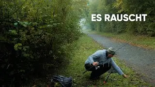 Die Blätter fallen, mit ERFOLG im Herbst auf Barsch und Zander!