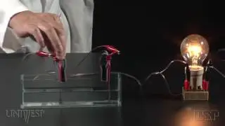 Tema 06 - Dipolos Elétricos e Polarização | Experimentos - Condutividade elétrica da água salgada