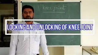 Locking and Unlocking of knee joint