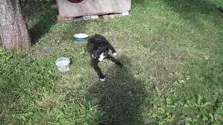 DSCF1653