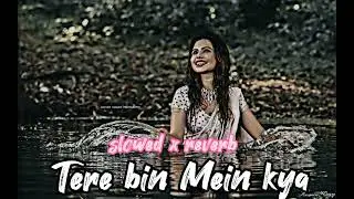 Tere bin Mein kya || old lofi song || #90slofi || lofi reverb romantic song || use headphones 🎧