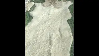 How To Process Sheep Skin Rugs The Natural Way Part 2