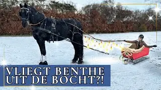 SLEE&Euml;N MET BINKIE!❄️🦄 | PaardenpraatTV